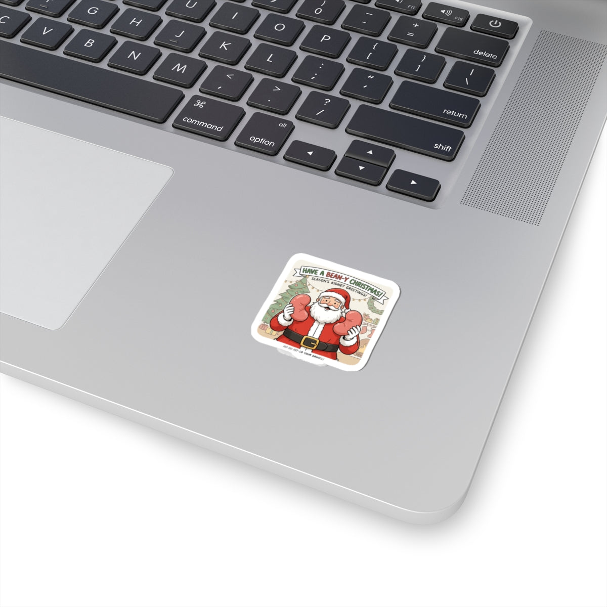 Santa Boxing Holiday Sticker — 'Have a Beany Christmas' Kiss-Cut Sticker